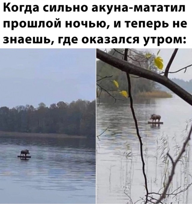 Недопятница 11.05.23