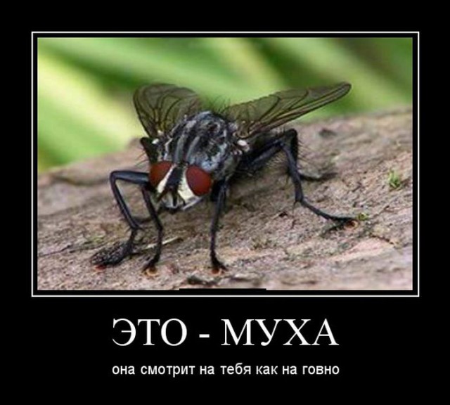 Картинки про оно