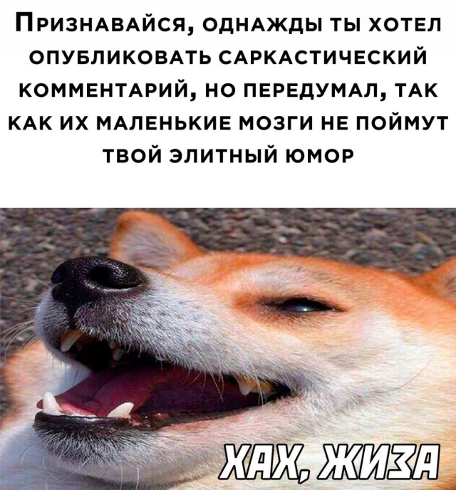 Что может дать 40-50 летняя старушка парню ровеснику