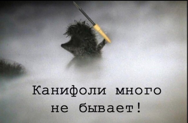 Так себе картинки 13.07.23