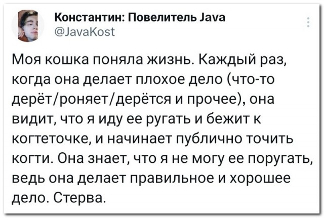 Забавные комментарии из социальных сетей (07.08.23)
