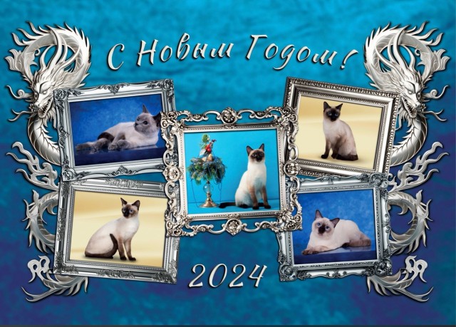 Про новогодние каникулы