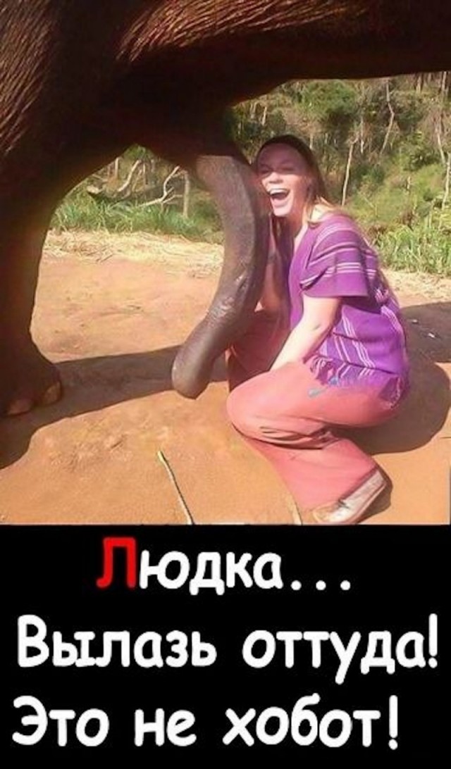 Деградильня