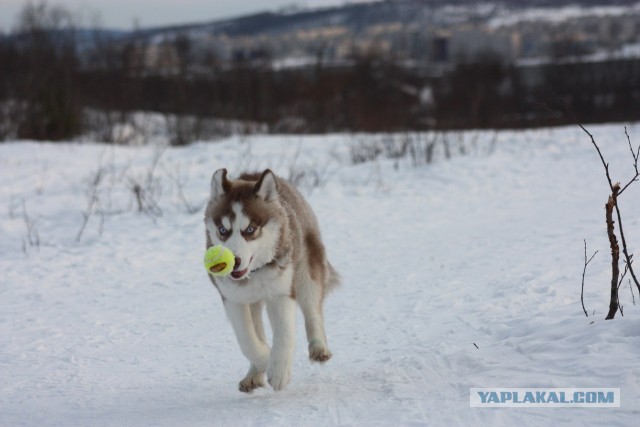 Лови момент!