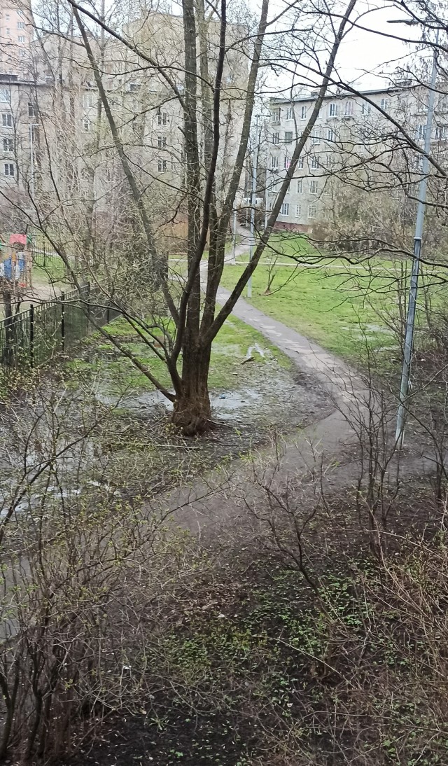Народная тропа не зарастёт!
