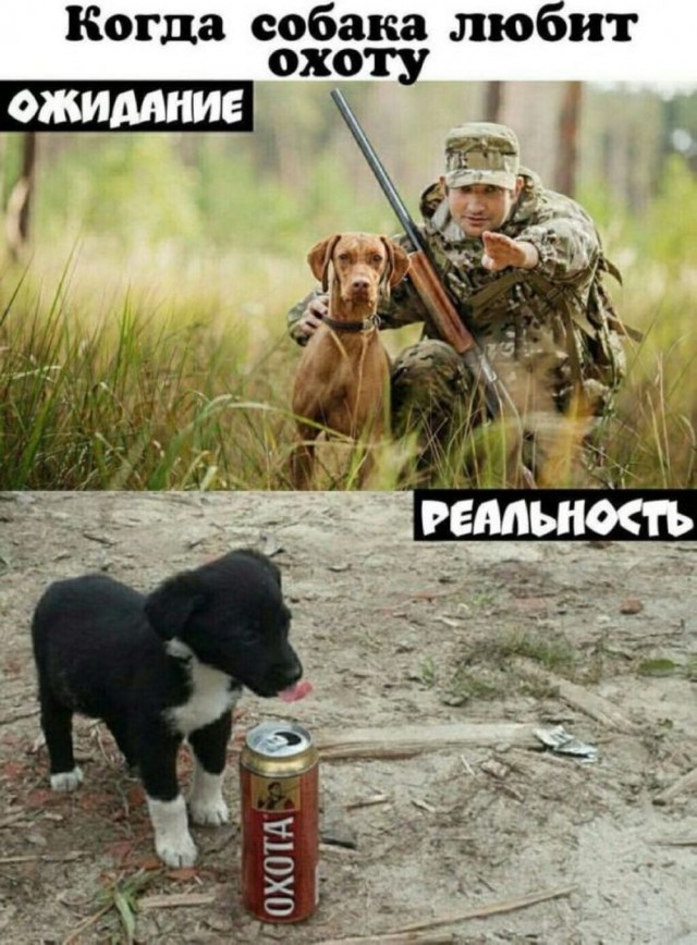 ФотоВинегрет