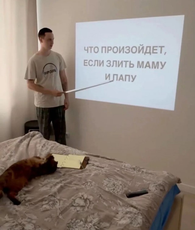 Курс прослушал
