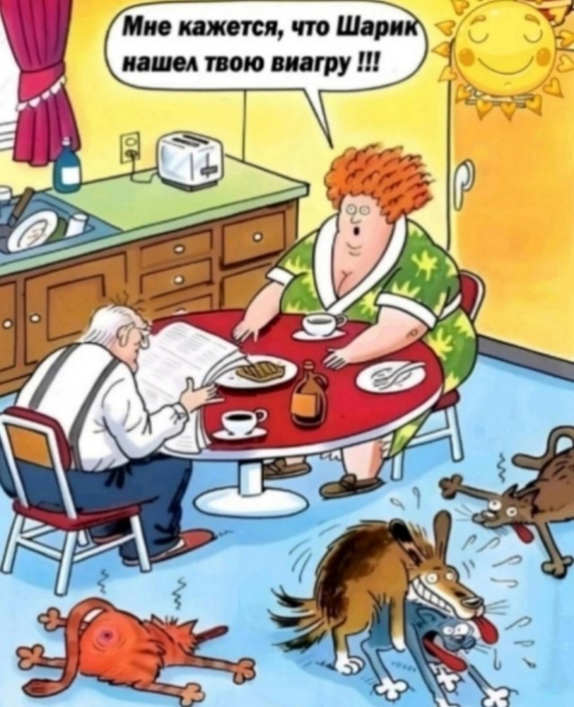 Так себе картинки 04.02.25