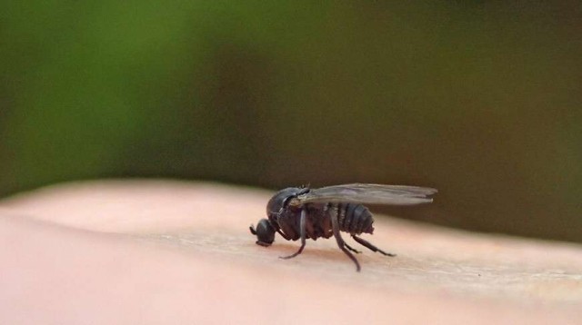 Я только что совершил гнусное убийство