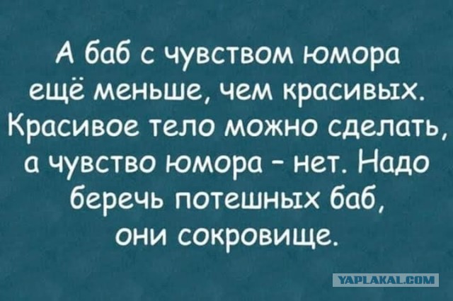 Юмор для тех, кто уже повзрослел и понял, что «свободное время» — это мираж в пустыне