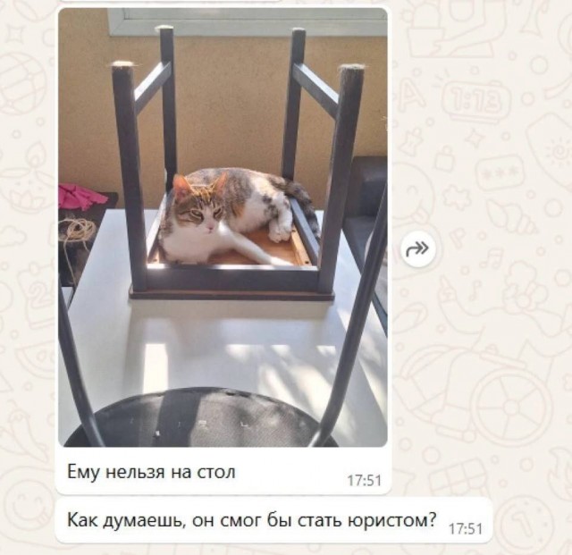 Ещё одна рабочая неделя прошла