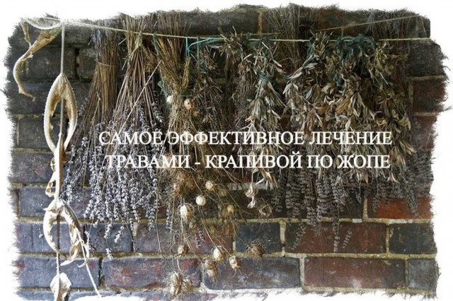 Так себе картинки 18.07.25