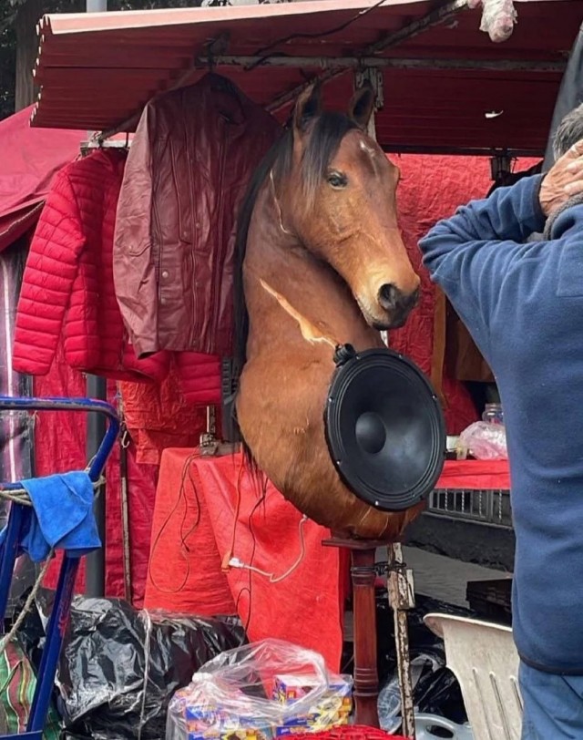 Веселое настроение в картинках 24.07.25