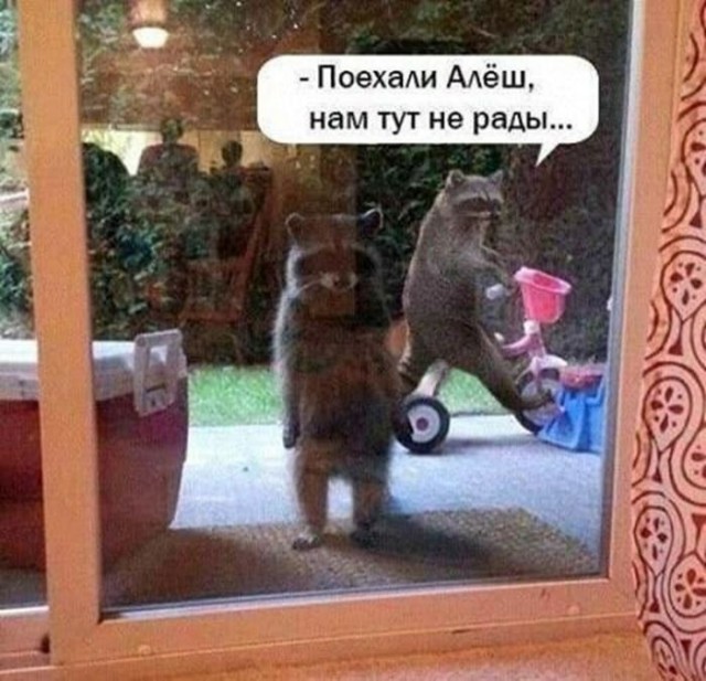 Поехали отсюда