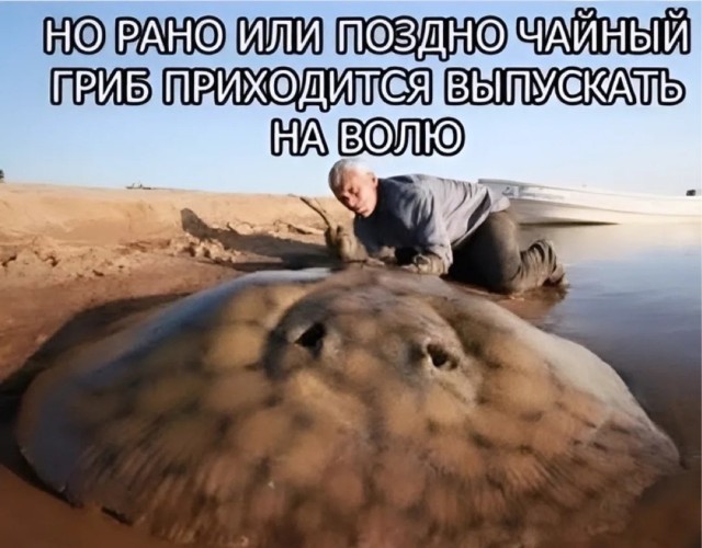 Международная панорама