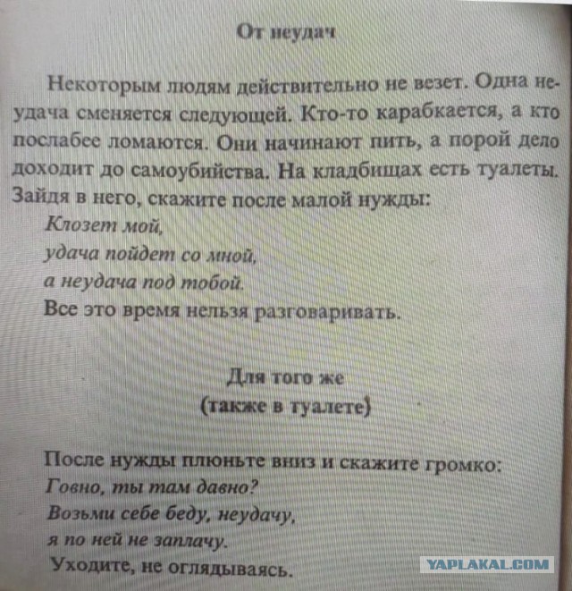 Так себе картинки 19.11.25
