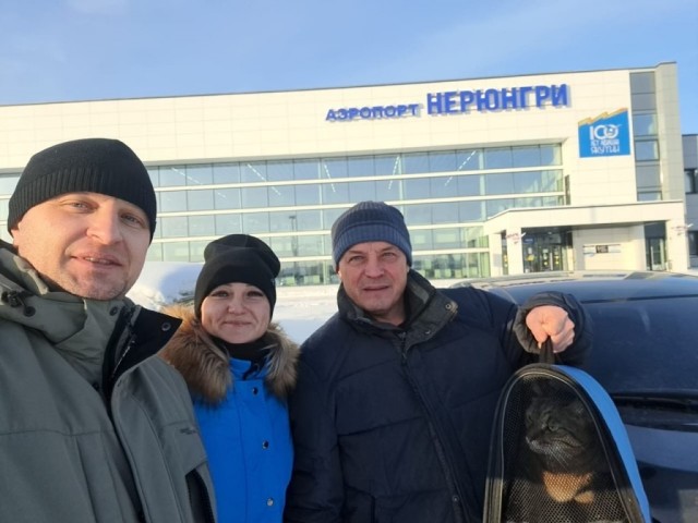 РЖД спасли кота Федоса, сбежавшего под обшивку вагона