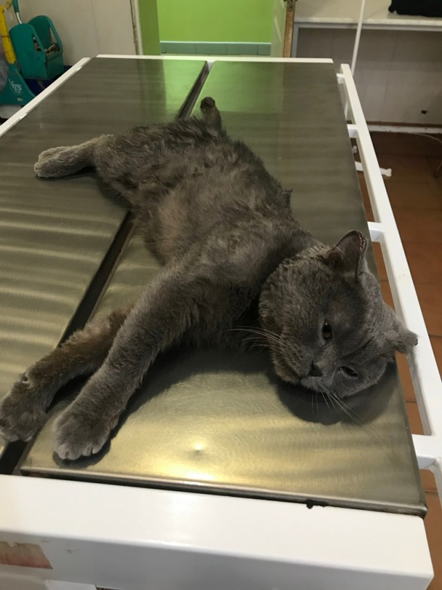 Безымянная извечная битва