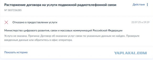 На Госуслугах появились сим-карты Билайн, которые я не оформлял