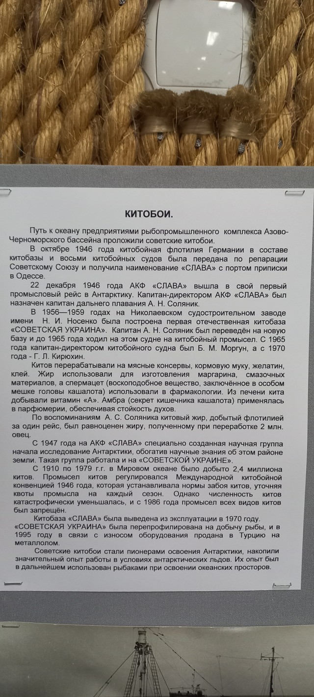 Музей рыбов.