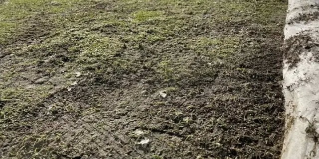 РПЛ без прикрас и модераций 7