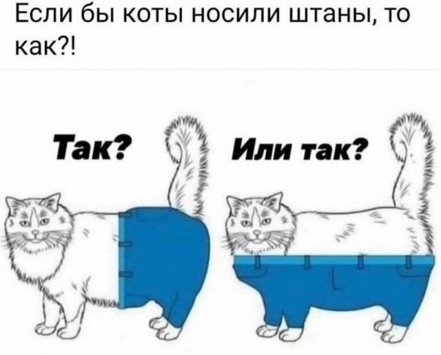 Понедельника картинки