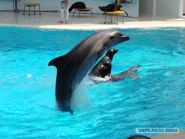 Как мы в Крым катались