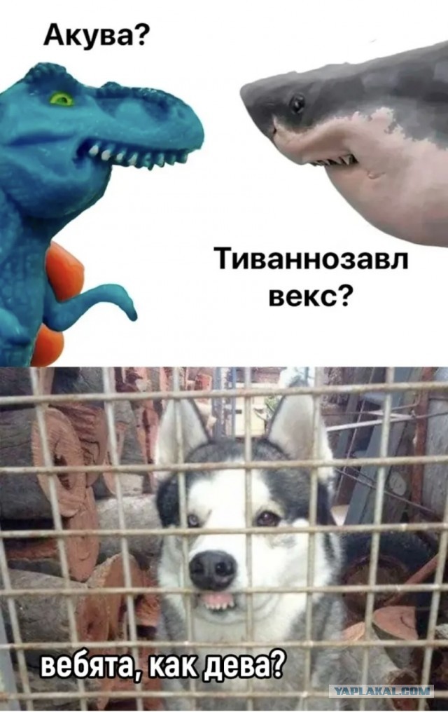 Дубайский шоколад