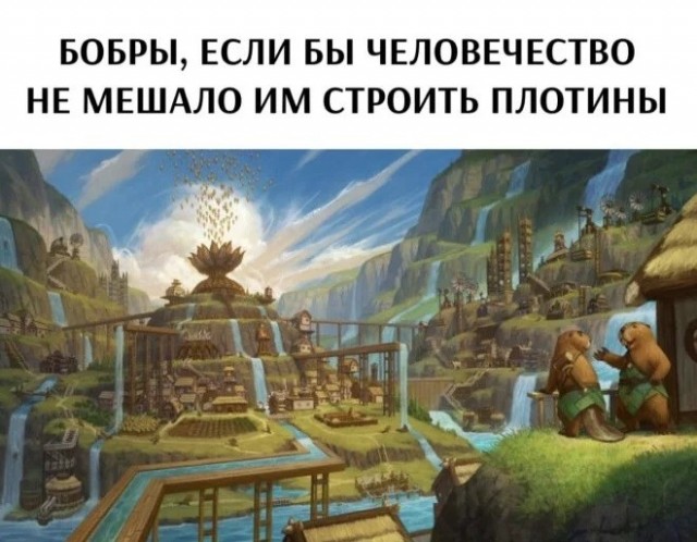 Картинки для деградации 208 (разной степени свежести)