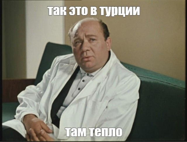 В Турции две кошки родили в один день и теперь не могут разобраться, где чей котёнок