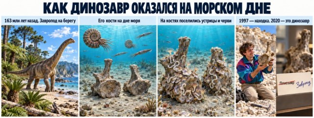 На месте Москвы плескалось море. Какие следы оно оставило