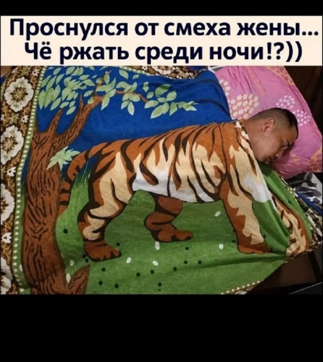 Так себе картинки 28.10.26