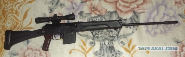 Мой вепрь!
