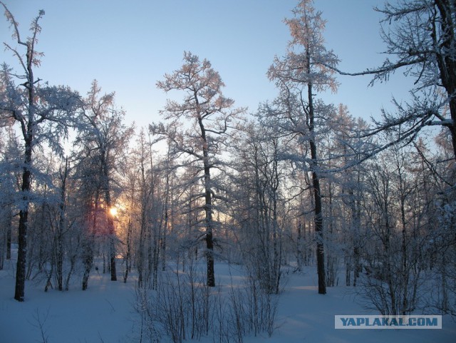 Ямал