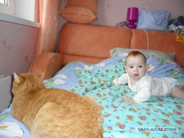 Я и ребенок