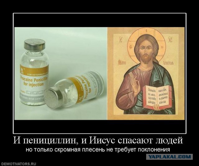 Демотиваторы.
