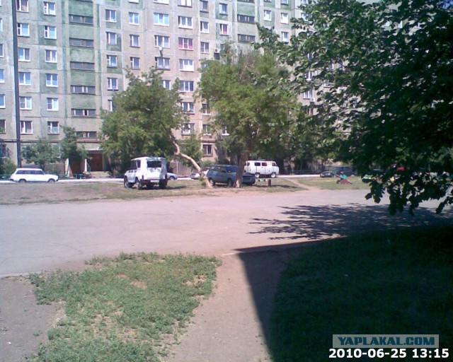 Мудаки и газоны