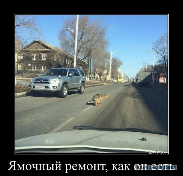 Подборка демотиваторов