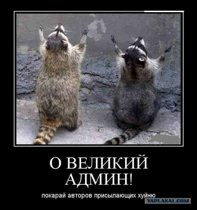 Немцов убит в Москве