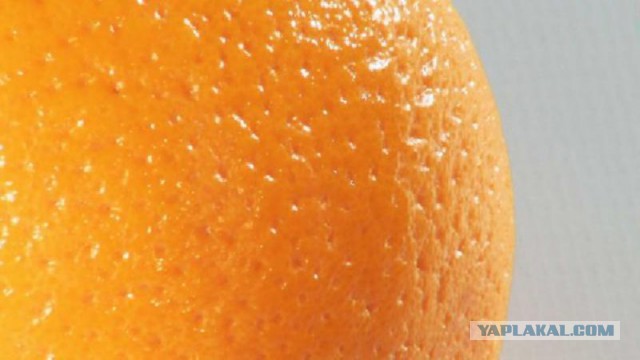 Эмбер Роуз не любит стеснять свои телеса
