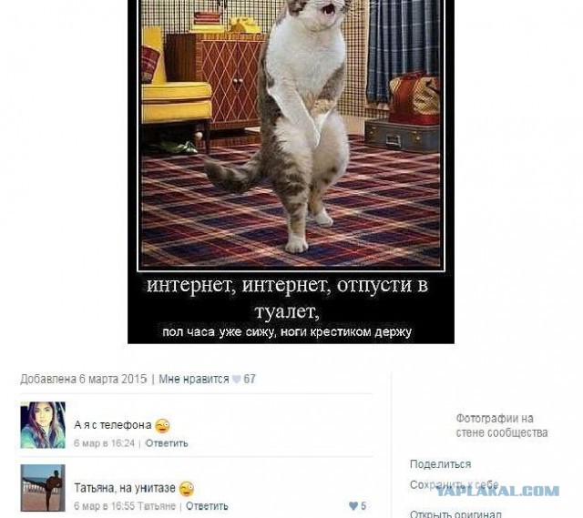 Смешные комментарии из социальных сетей