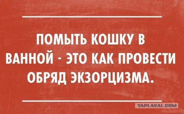 Картиночные забавности