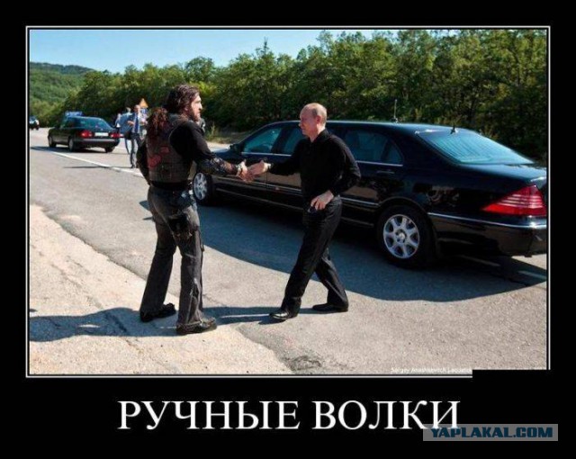 Традиционная пятничная подборка ВК и не только