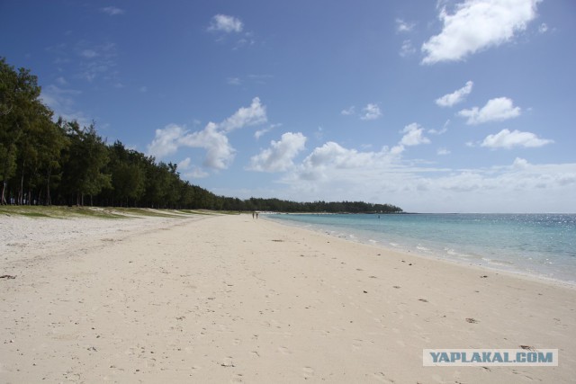 Россия и Маврикий ввели безвизовый режим