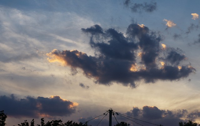 Я узнал, что у меня есть огромная семья