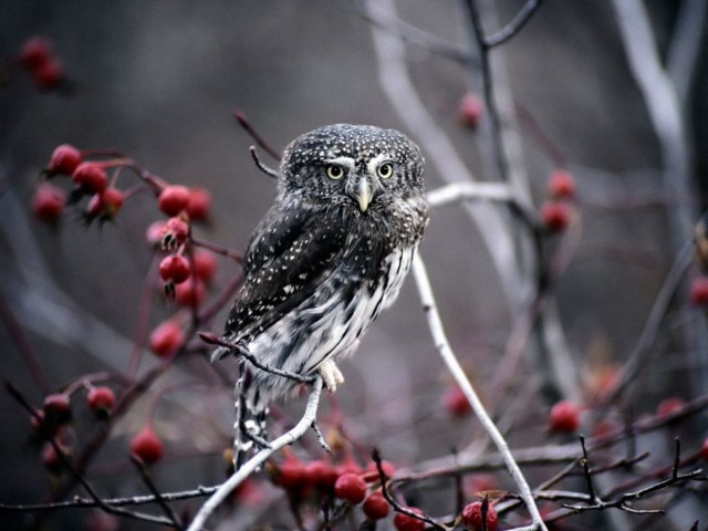 Красивые фото