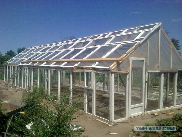 Сельскохозяйственный эксперимент ч. 5