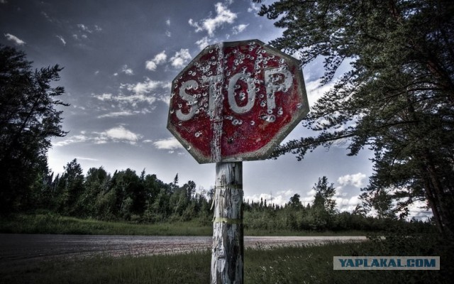Убил волка охотившегося в городе.