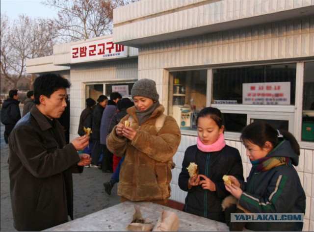 Пламенный репортаж телевидения КНДР о начале священной войны с американскими сумасбродами
