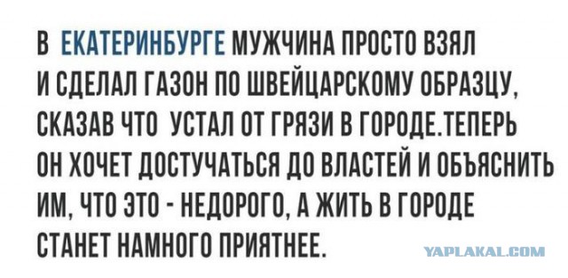 Швейцарский газон вместо грязи